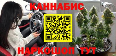 сатива Пыть-Ях