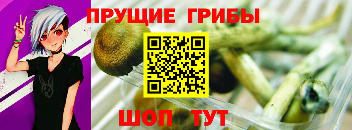 Псилоцибиновые грибы ЛСД  продажа наркотиков  Азнакаево  Вход с VPN 