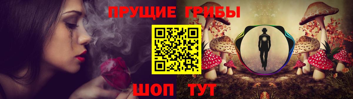 Псилоцибиновые грибы MAGIC MUSHROOMS Азнакаево